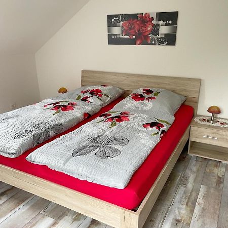 Fewo Mit Balkon Direkt Am Wald Und Wanderweg Ruhe Pur 2 Og Bad Sachsa Zewnętrze zdjęcie