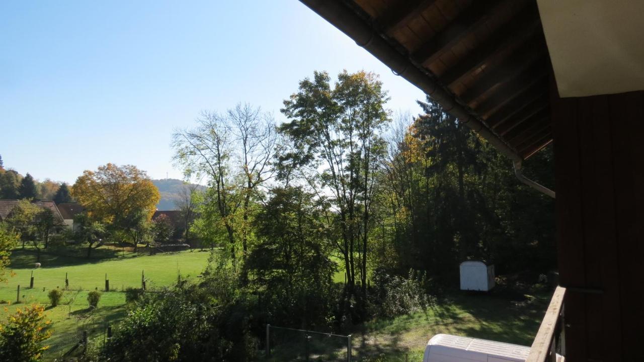 Fewo Mit Balkon Direkt Am Wald Und Wanderweg Ruhe Pur 2 Og Bad Sachsa Zewnętrze zdjęcie